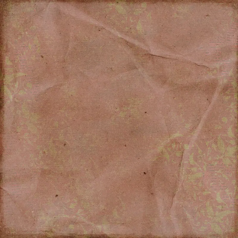 ����ֽ�ű���-������