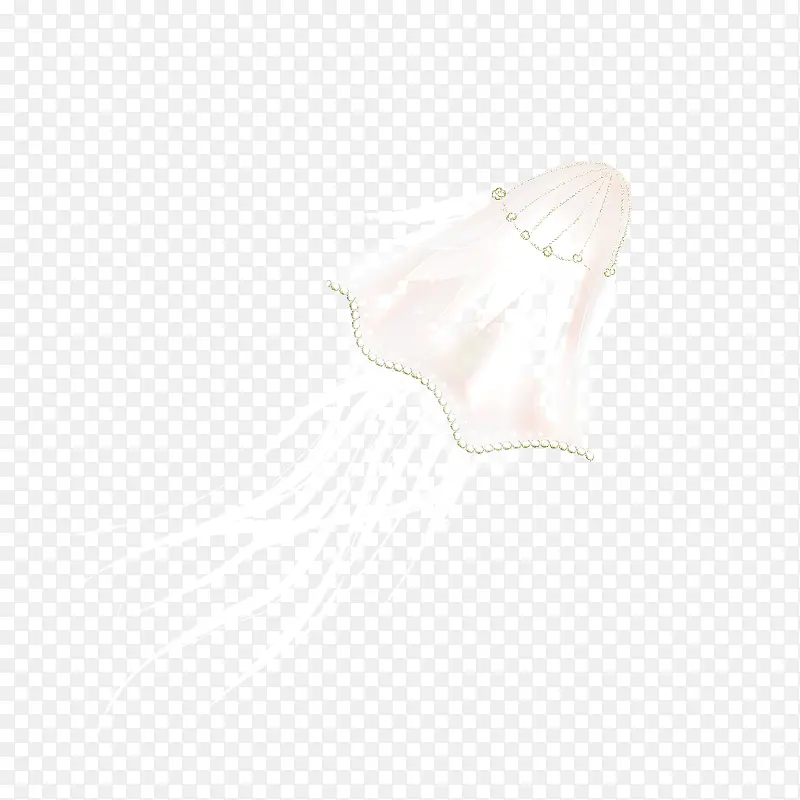 ��ͨ����С����-������