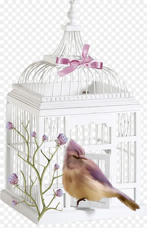 ��ɫ����-������