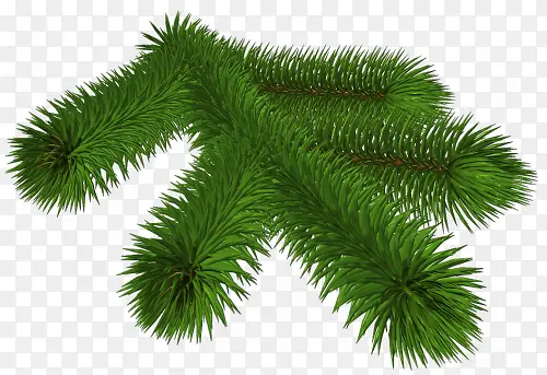 ʥ����װ��ɼ��֦-������