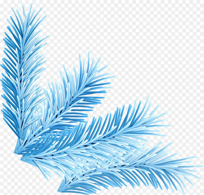 ��ɫֲ����֦-������