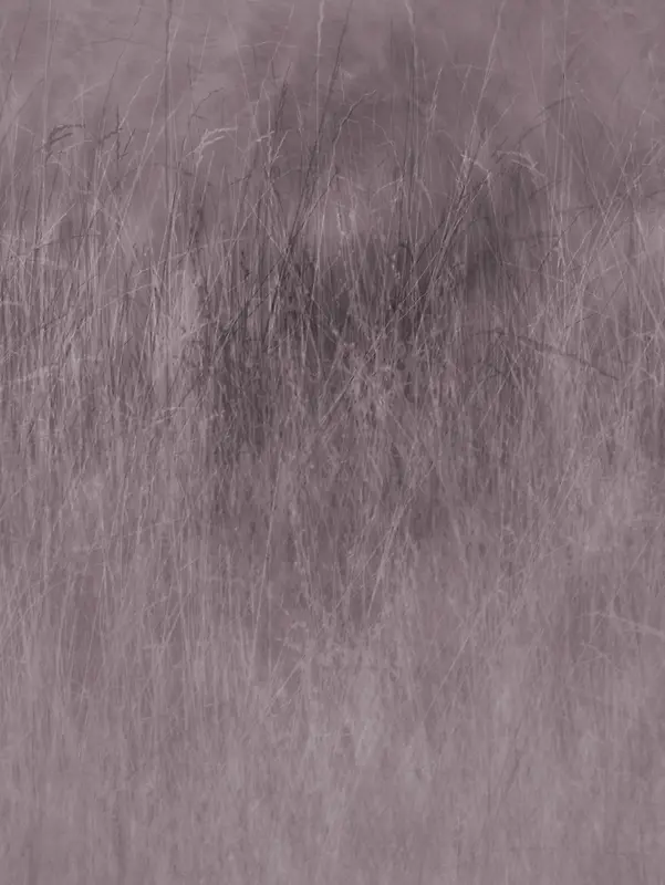 ����ɫ�ݱ���-������