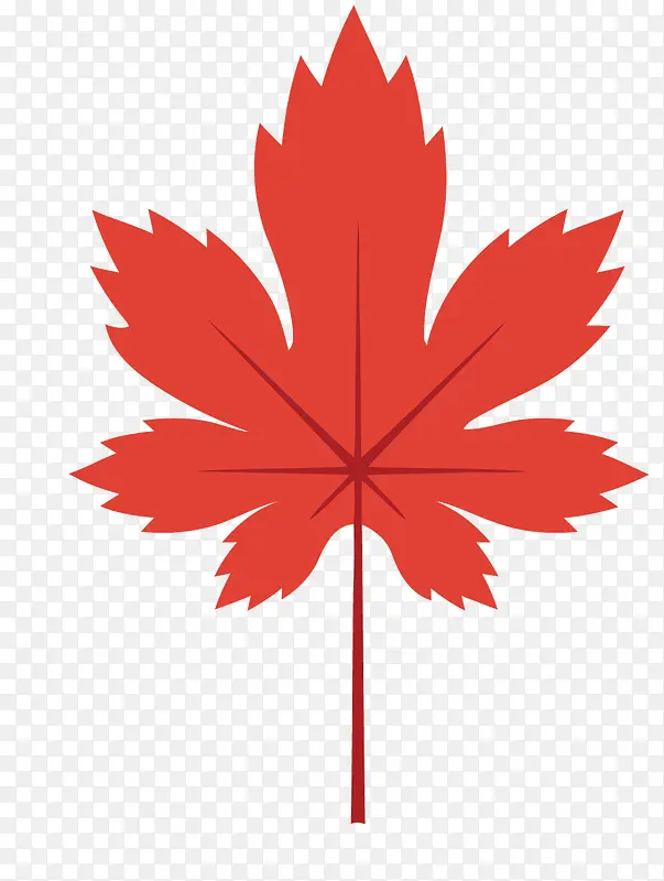 ʸ����ɫ�����Ҷ-������