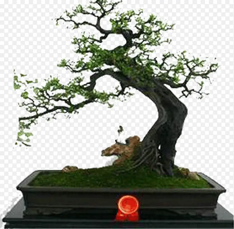 ����-������