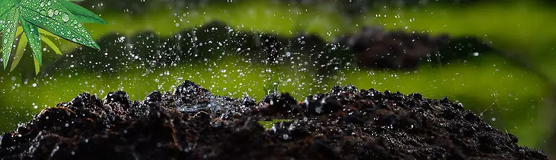 ��Ь����banner-������