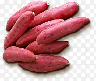 �����ػ��Ա�ʳƷ-������