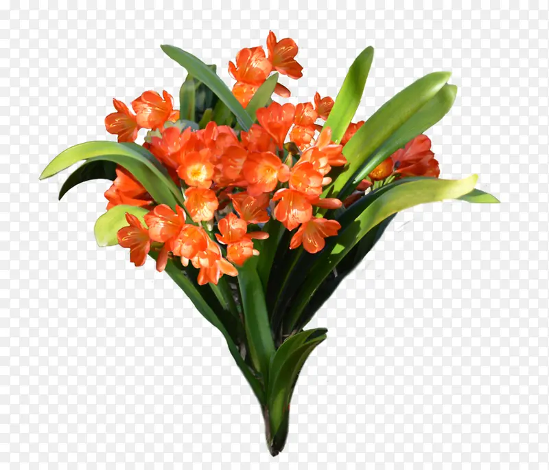 ���������-������