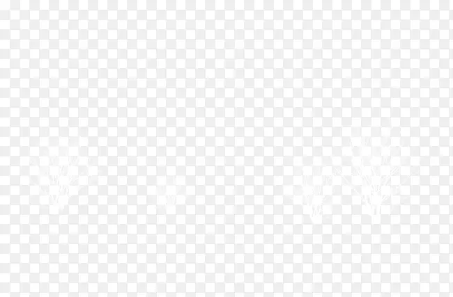 �������ľ��û��Ҷ�ӵ���֦����-������