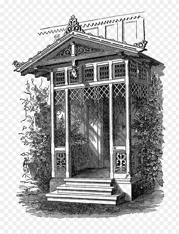 �������ǿ����ճ�������ѧ�����������˶�����-������