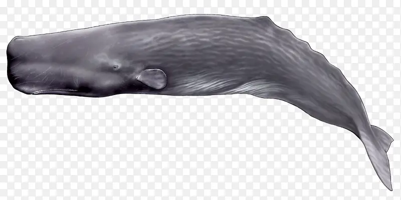 ������Ӱ�ϳɾ���ͼƬ-������