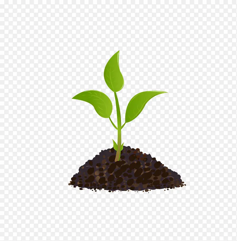 ʸ��С��-������