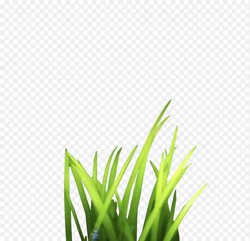 һ��С��-������