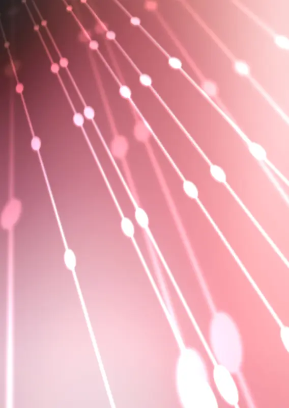 IT�����ز�087-������