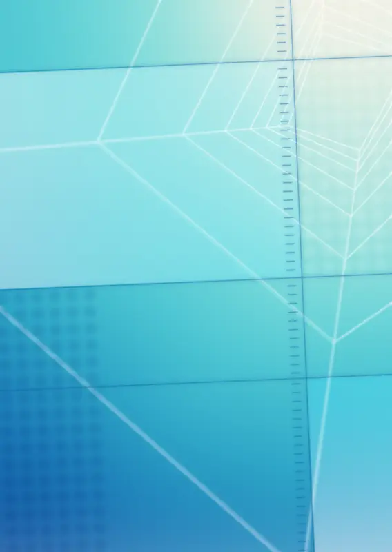 IT�����ز�072-������