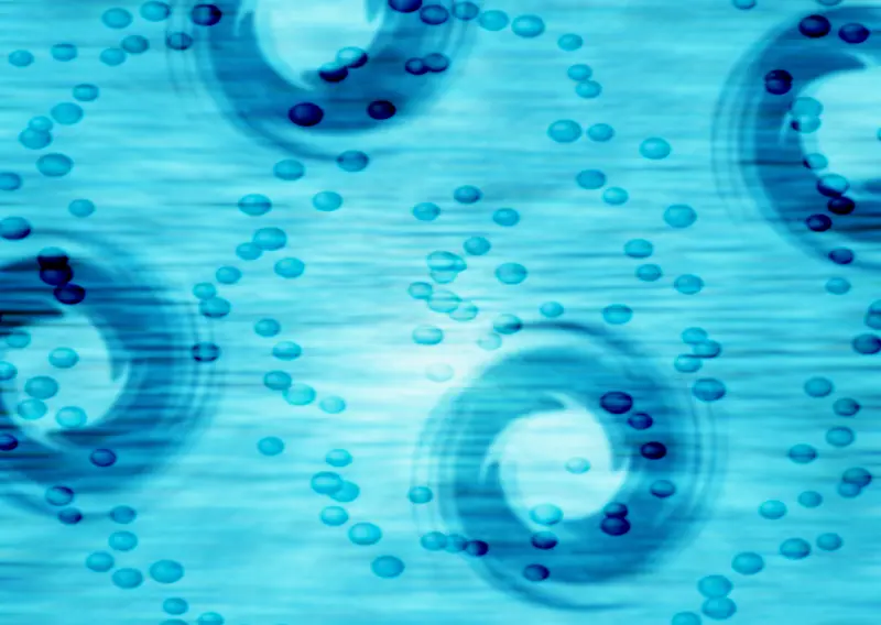 IT�����ز�065-������