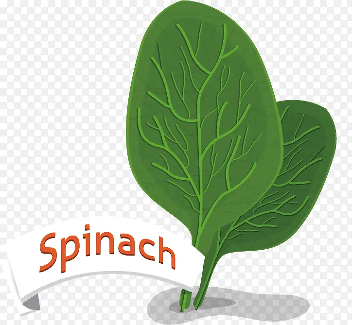 ��ɫ�����߲�ʸ���ز�-������