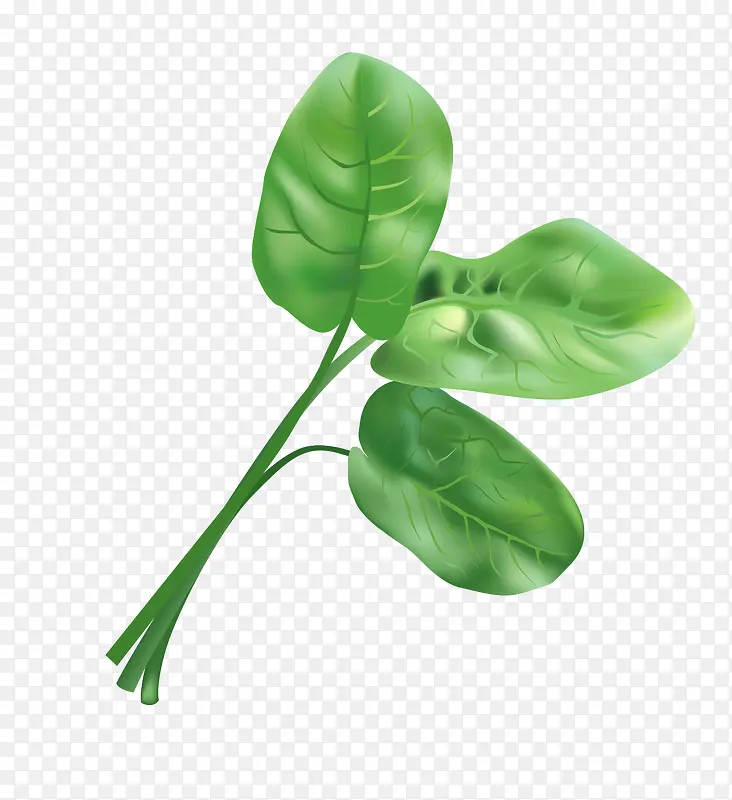 ʸ������Ҷ��-������