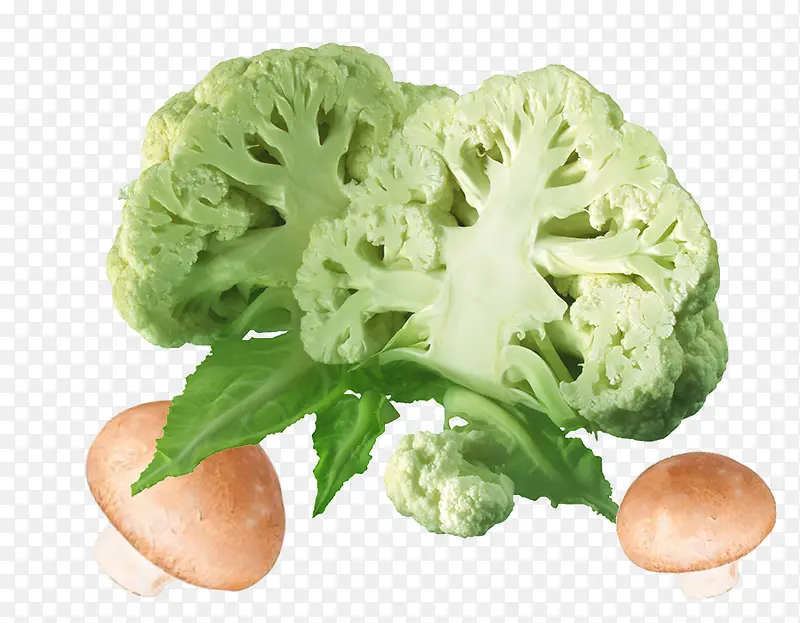 ����ʳ�Ļ�Ҭ��-������