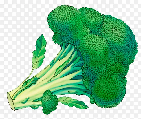 ��ɫ����-������