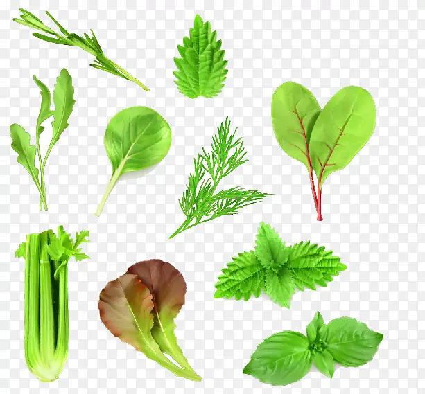 �߲˼���-������