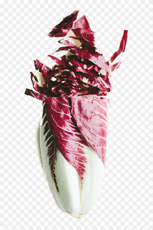 �ײ�-������