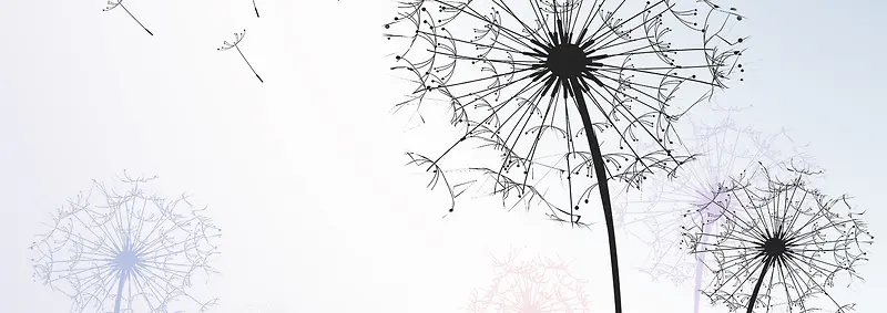 ��ɫ����ǽ�ѹ�Ӣ���±���banner-������