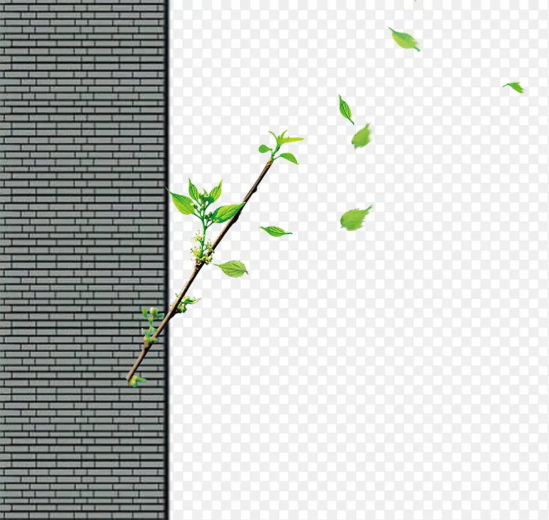 �ز����Ԫ��ǽ�ϵ���֦-������