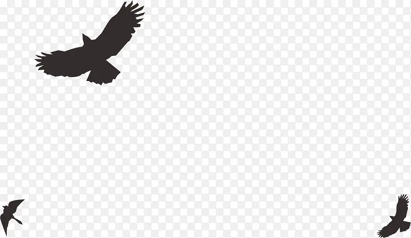 ��ӥ-������