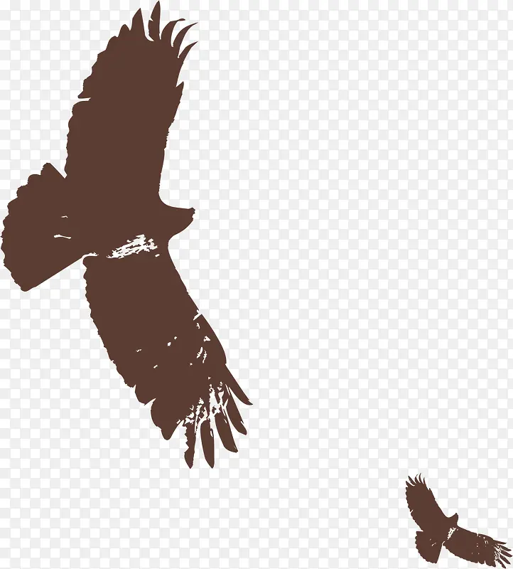 ī����ӥ-������