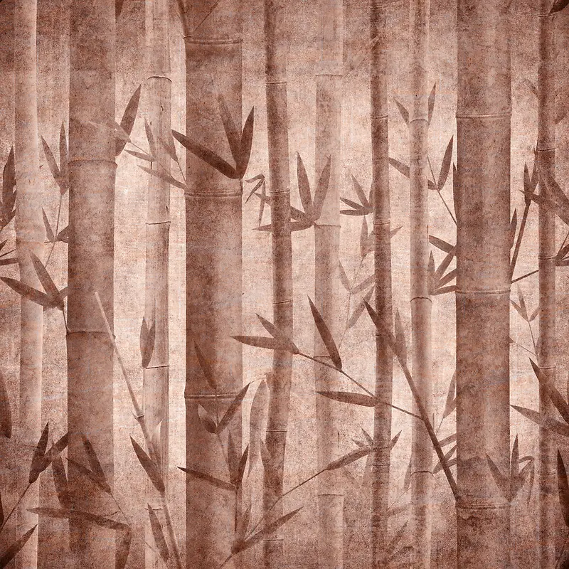 ϸ���ӱ���-������