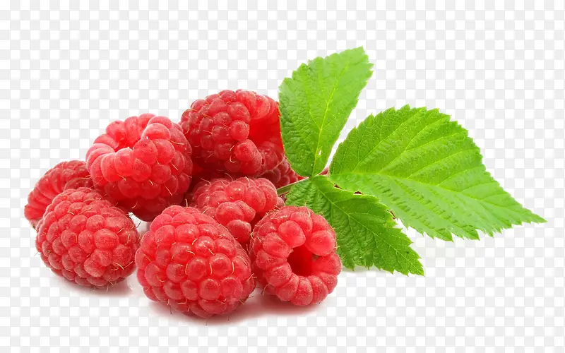 ��ɫˮ��Ҷ��-������