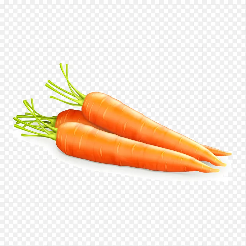 �������ũ��Ʒ�߲�ʸ���ز�-������