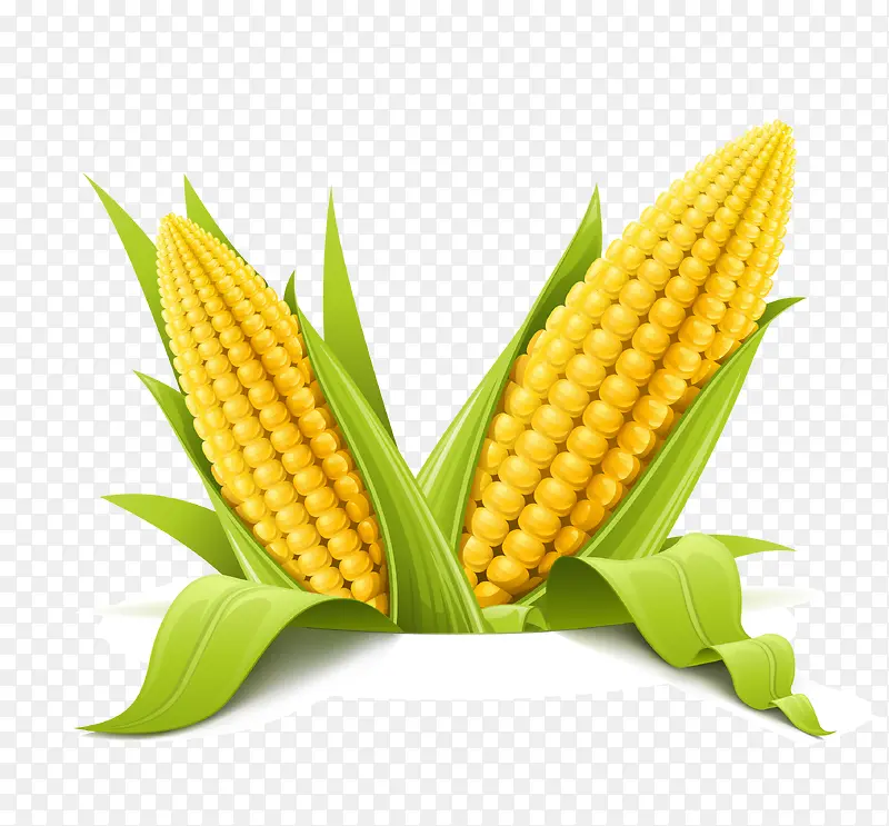 �������ũ��Ʒ�߲�ʸ���ز�---������