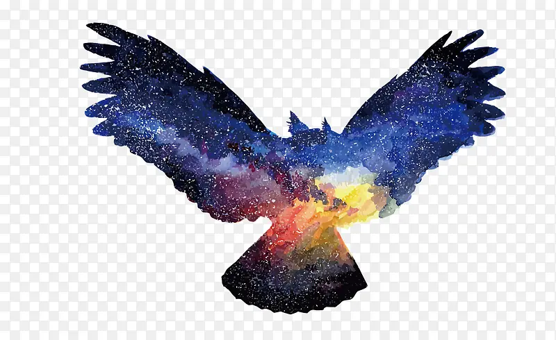 ʸ��ˮ���ǿ�èͷӥ-������