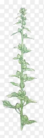 ����ͼƬ�زĴ��⻨��ͼƬ ����-������