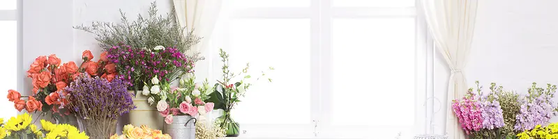 ��ɫ�廨��ɫ����-������