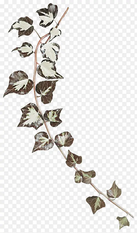 ����ͼƬ�ز�-������