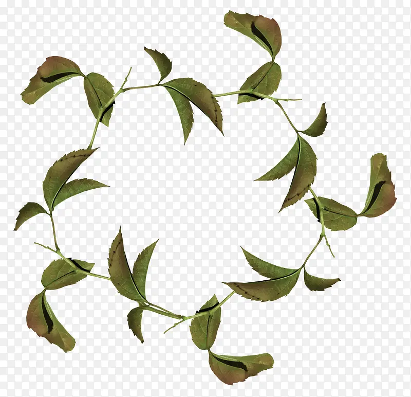 ����-������