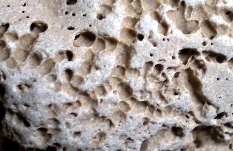 ������״��ʯͷ����-������