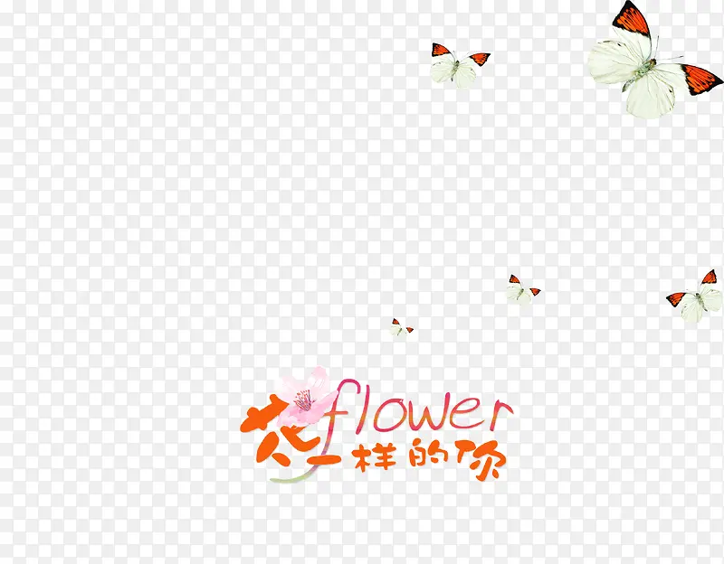 ��ͨ���-������