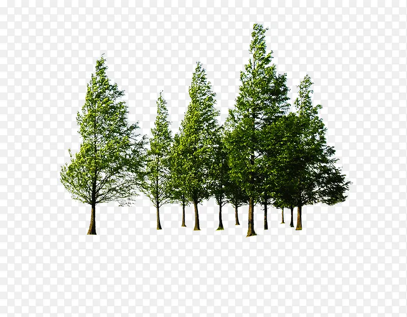 Ψ������������-������