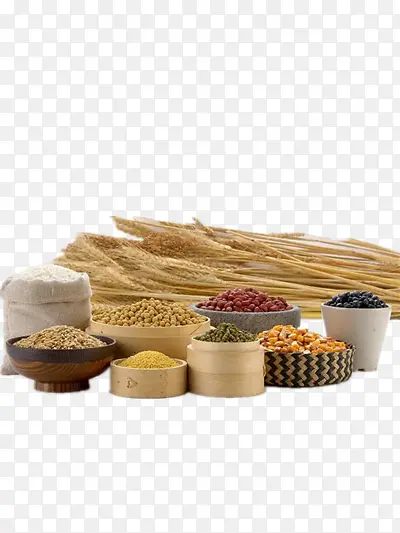 �������ʳ��-������