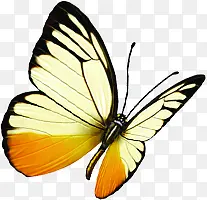 �ֻ����������Ŀ-������