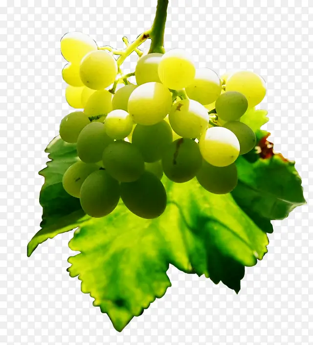 ˮ������-������