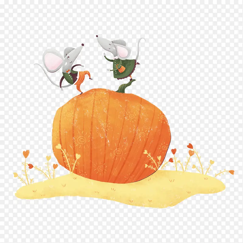 ��ͨ�ɰ�С����װ�ζ���ͷ��-������