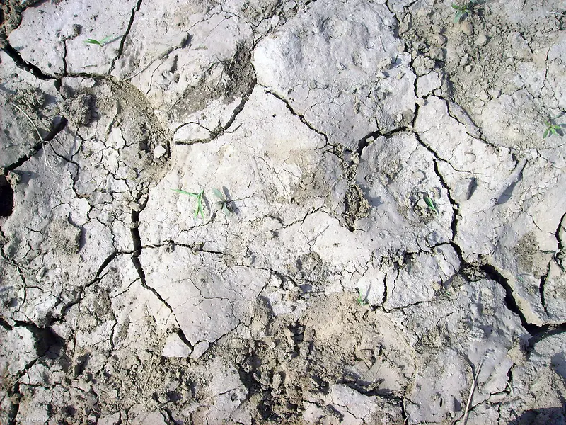 ʯͷ���Ʊ���-������