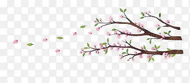 Ư���ʻ�-������