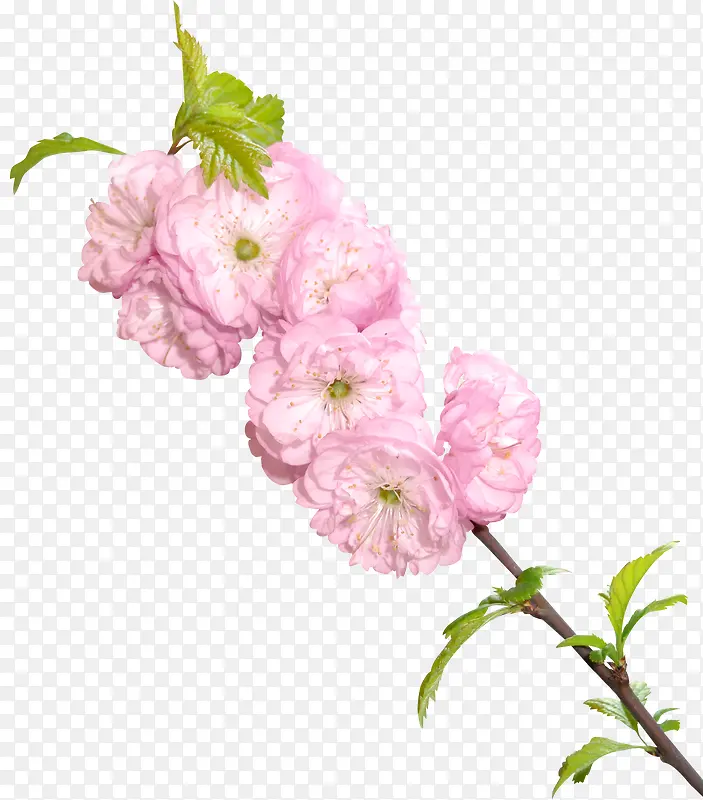 Ư������-������