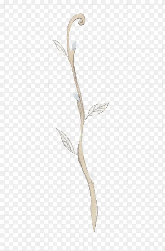 Ư����֦-������