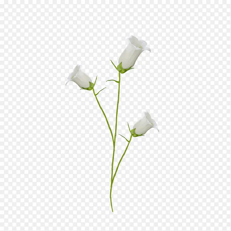 ��ɫ����-������